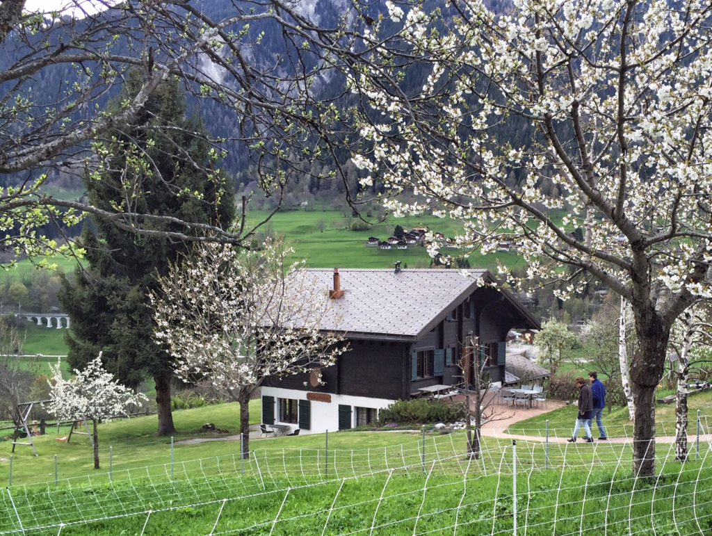 Sunny outdoor impression at Chalet Ackermohn