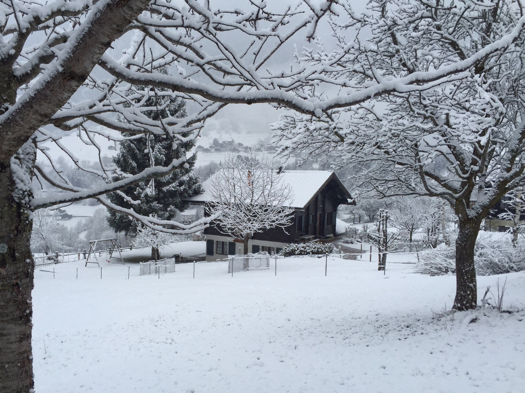 Winter landscape near Chalet Ackermohn